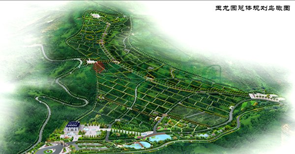 1-22020Q12122N1 首页 - 菲律宾亚星国际官方网站