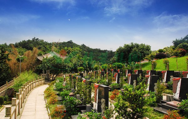 ��ҳ - ���ɱ����ǹ��ʹٷ���վ