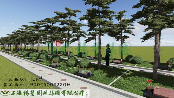 1-22020Q34029208 首页 - 菲律宾亚星国际官方网站