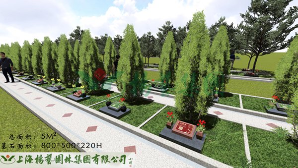 1-22020Q34102648 首页 - 菲律宾亚星国际官方网站