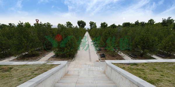 1-22020Q34143625 首页 - 菲律宾亚星国际官方网站