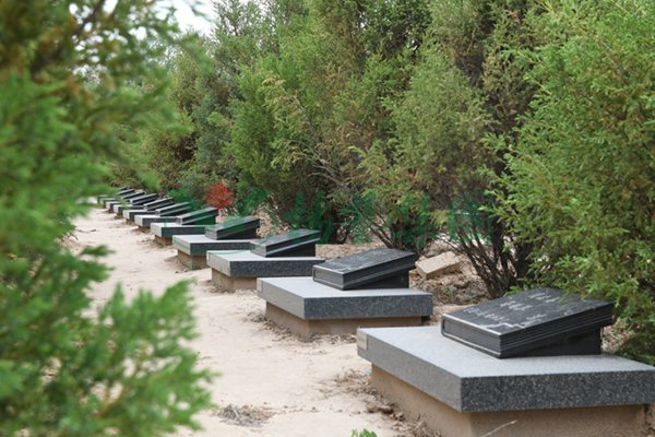 ��ҳ - ���ɱ����ǹ��ʹٷ���վ