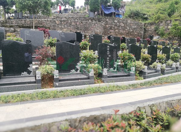 1-22020Q41522P6 首页 - 菲律宾亚星国际官方网站