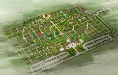 ������ӱ�ϳ��й����Թ�Ĺ