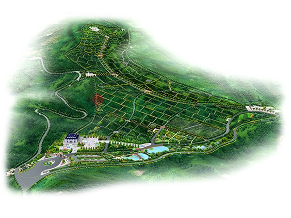 ��ҳ - ���ɱ����ǹ��ʹٷ���վ