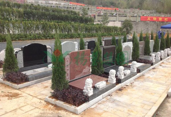 ��ҳ - ���ɱ����ǹ��ʹٷ���վ