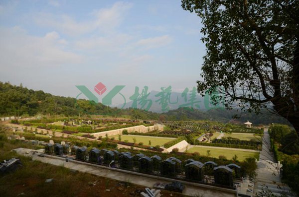 ��ҳ - ���ɱ����ǹ��ʹٷ���վ