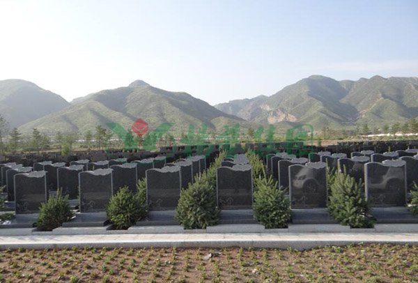 1-2202091A445M4 首页 - 菲律宾亚星国际官方网站