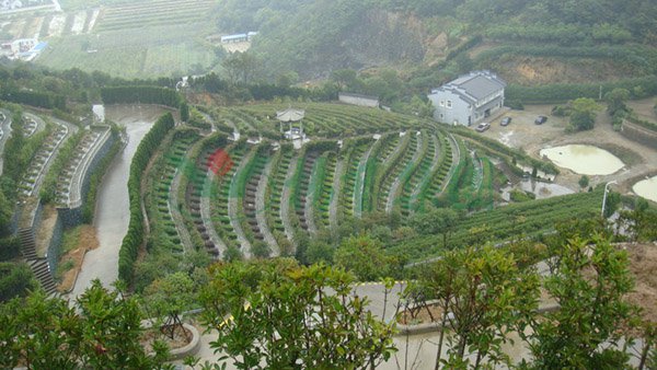 1-2202091AZAO 首页 - 菲律宾亚星国际官方网站