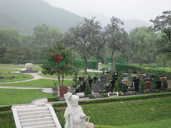 ��ҳ - ���ɱ����ǹ��ʹٷ���վ