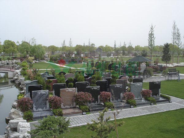 1-220210141F4260 首页 - 菲律宾亚星国际官方网站