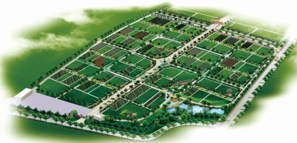 ��ҳ - ���ɱ����ǹ��ʹٷ���վ