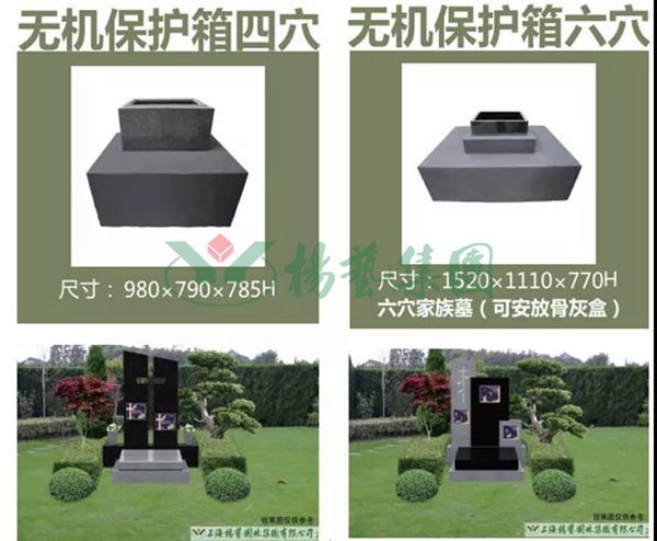 ��ҳ - ���ɱ����ǹ��ʹٷ���վ