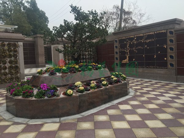 ��ҳ - ���ɱ����ǹ��ʹٷ���վ