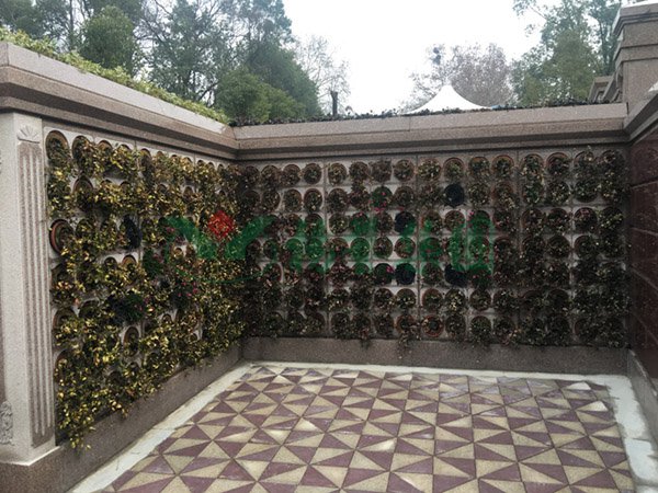 ��ҳ - ���ɱ����ǹ��ʹٷ���վ