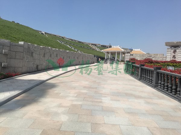 ��ҳ - ���ɱ����ǹ��ʹٷ���վ