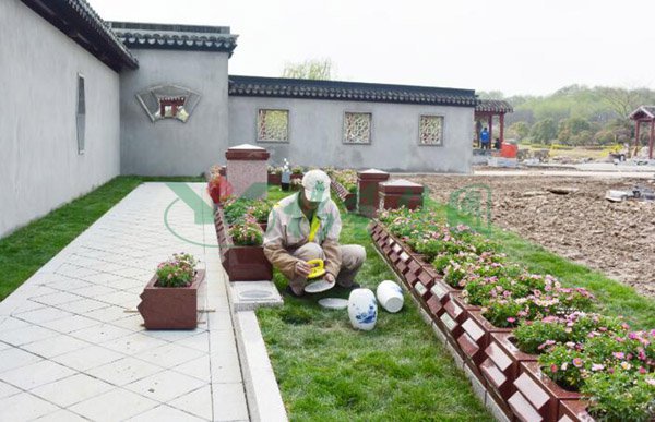 ��ҳ - ���ɱ����ǹ��ʹٷ���վ