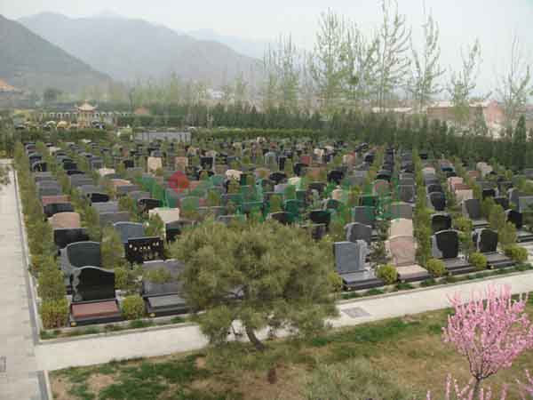 ��ҳ - ���ɱ����ǹ��ʹٷ���վ