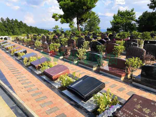 ��ҳ - ���ɱ����ǹ��ʹٷ���վ