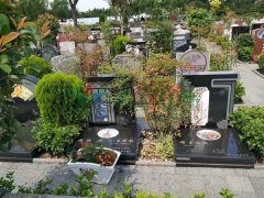 ɽ������԰-1