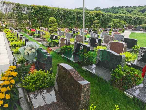 ��ҳ - ���ɱ����ǹ��ʹٷ���վ