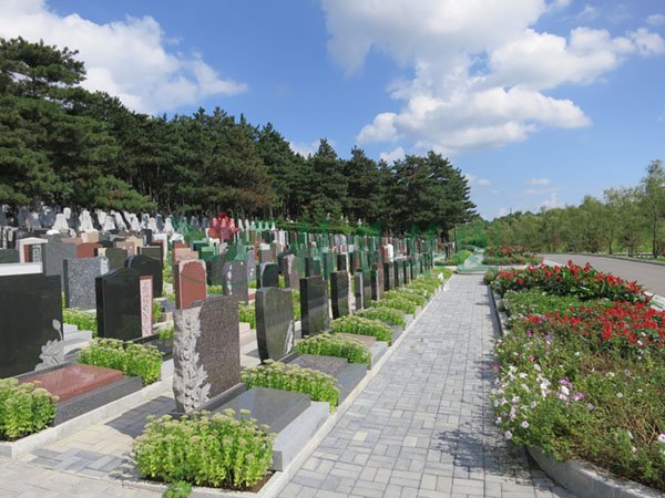 ��ҳ - ���ɱ����ǹ��ʹٷ���վ