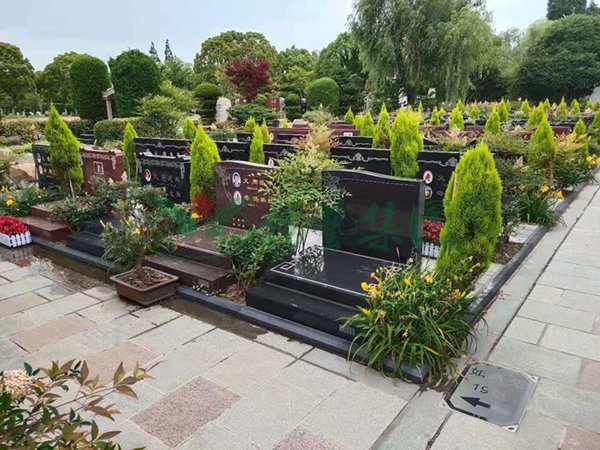 ��ҳ - ���ɱ����ǹ��ʹٷ���վ