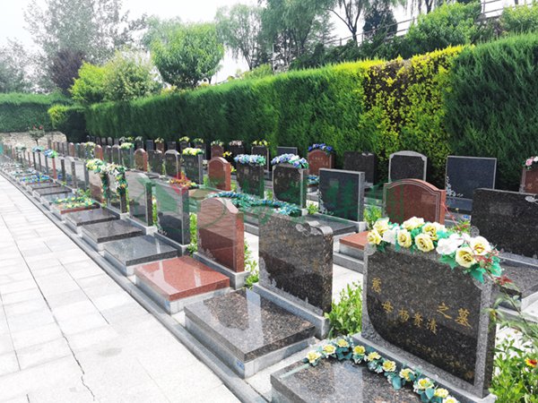 ��ҳ - ���ɱ����ǹ��ʹٷ���վ