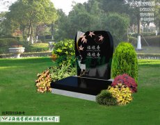 SY200510-��Ȼ�Ե� ��»���