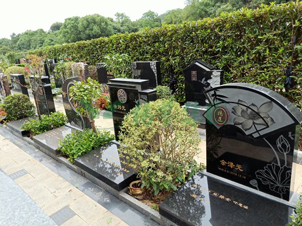 ��ҳ - ���ɱ����ǹ��ʹٷ���վ