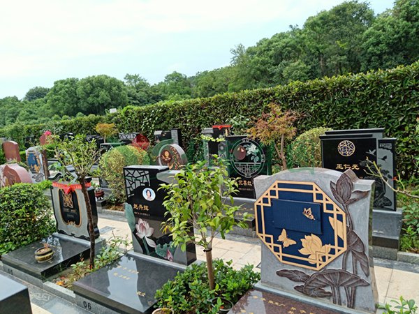 ��ҳ - ���ɱ����ǹ��ʹٷ���վ