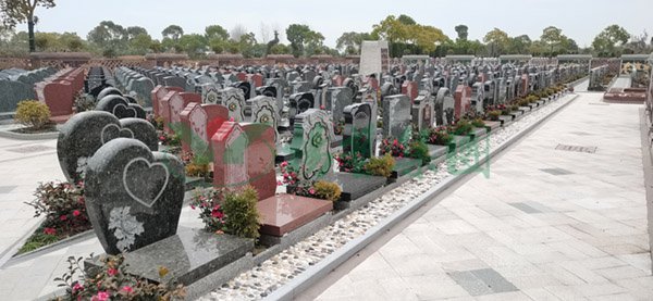 1-2202240Z240X3 首页 - 菲律宾亚星国际官方网站