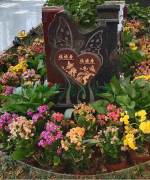 ����ڵ���-1