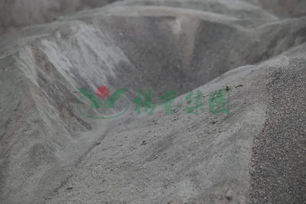 1-220302133223400 Ê×Ò³ - ·ÆÂɱöÑÇÐǹú¼Ê¹Ù·½ÍøÕ¾