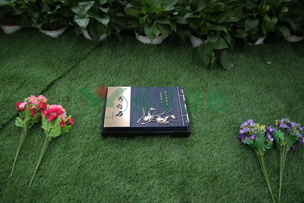 1-220302141P4V7 Ê×Ò³ - ·ÆÂɱöÑÇÐǹú¼Ê¹Ù·½ÍøÕ¾