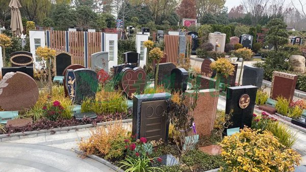 1-2203030SU1493 Ê×Ò³ - ·ÆÂɱöÑÇÐǹú¼Ê¹Ù·½ÍøÕ¾