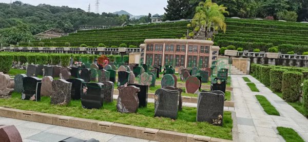 1-2203030T201354 Ê×Ò³ - ·ÆÂɱöÑÇÐǹú¼Ê¹Ù·½ÍøÕ¾