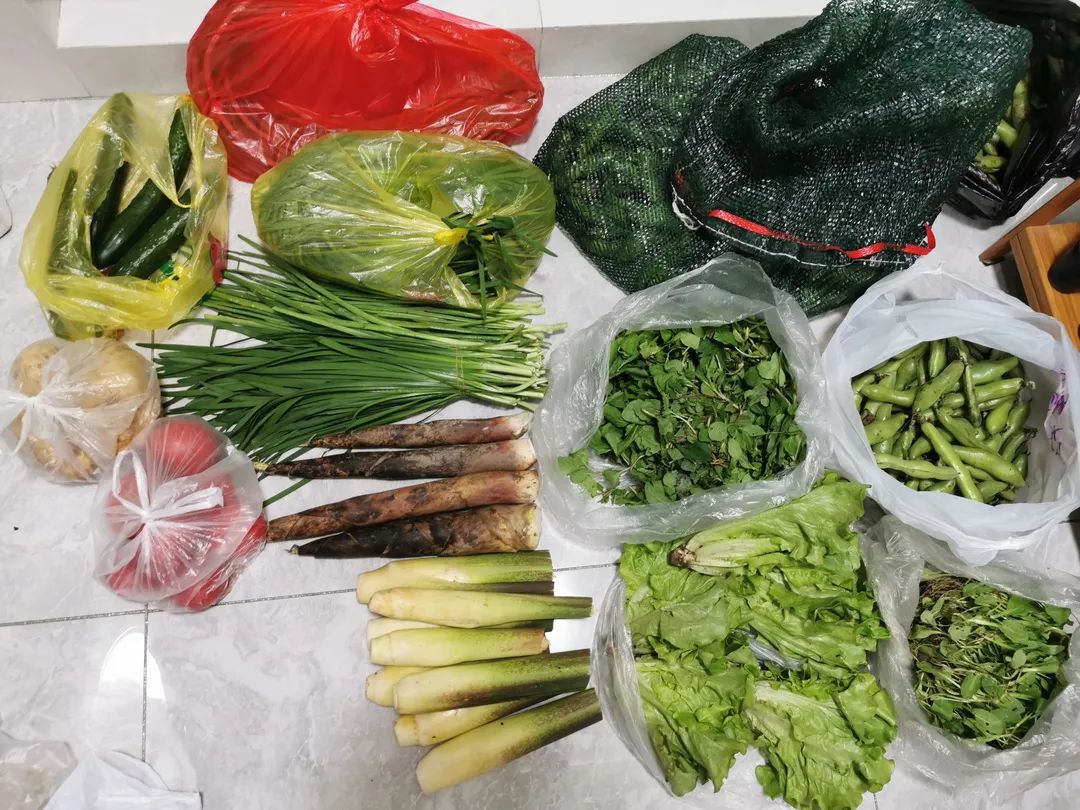 ��ҳ - ���ɱ����ǹ��ʹٷ���վ