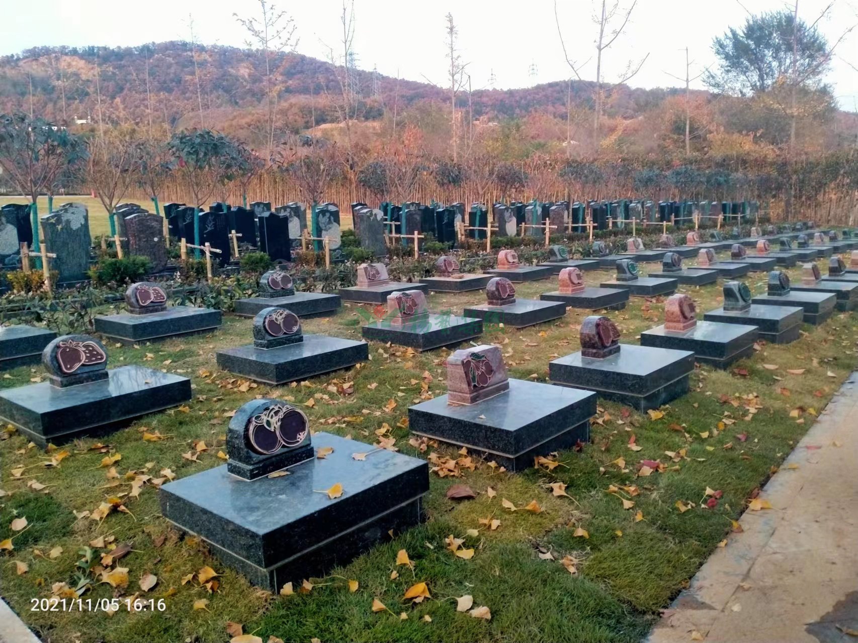 ��ҳ - ���ɱ����ǹ��ʹٷ���վ