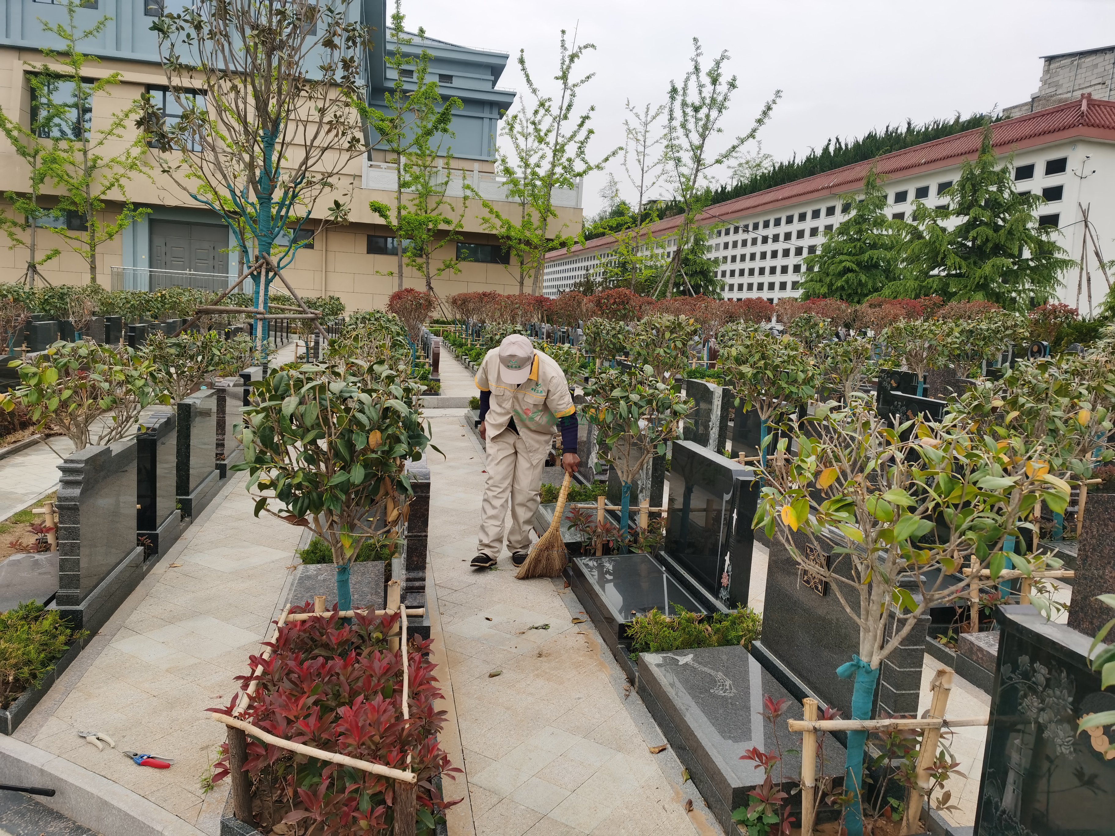 ��ҳ - ���ɱ����ǹ��ʹٷ���վ