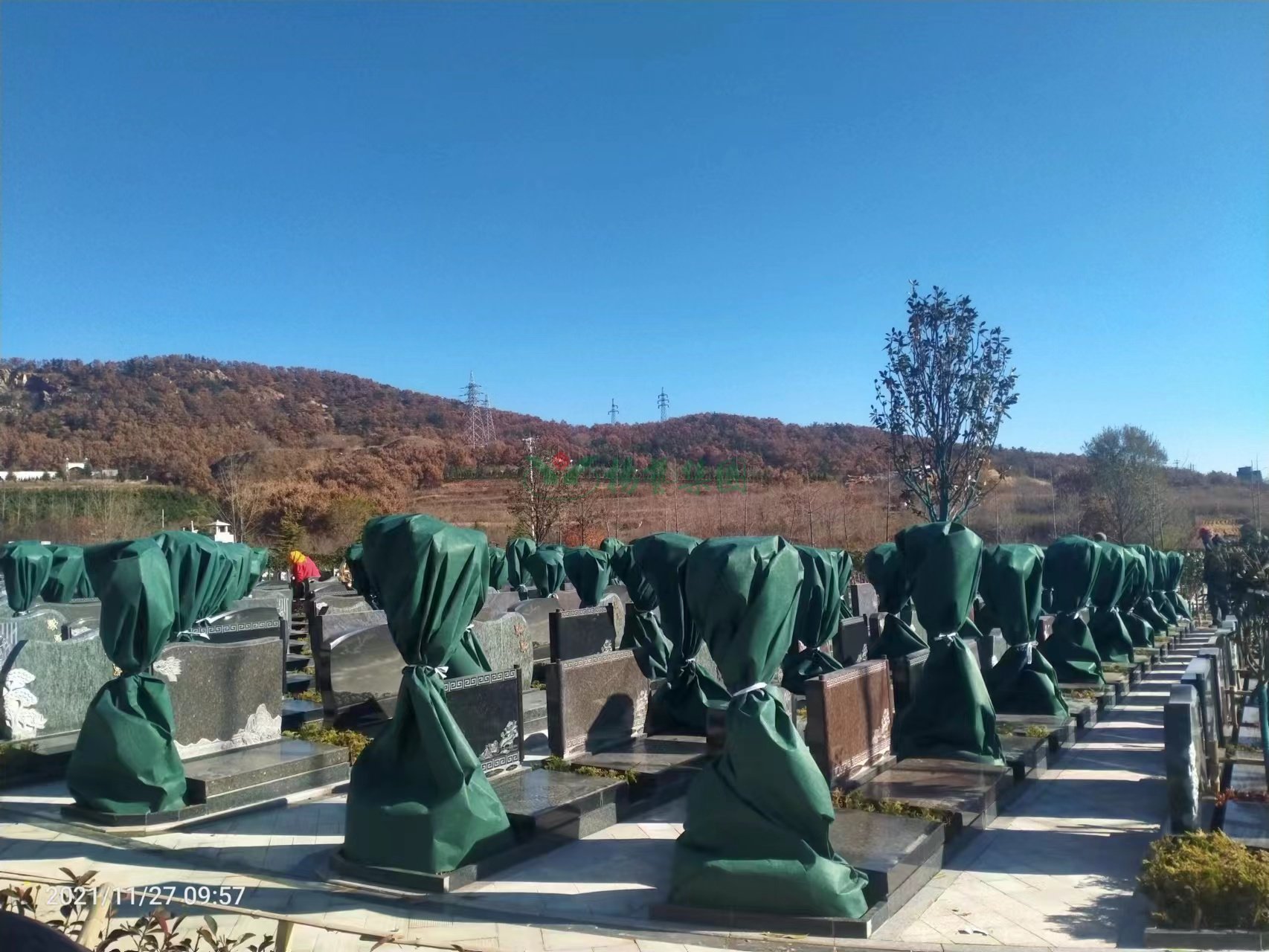 ��ҳ - ���ɱ����ǹ��ʹٷ���վ