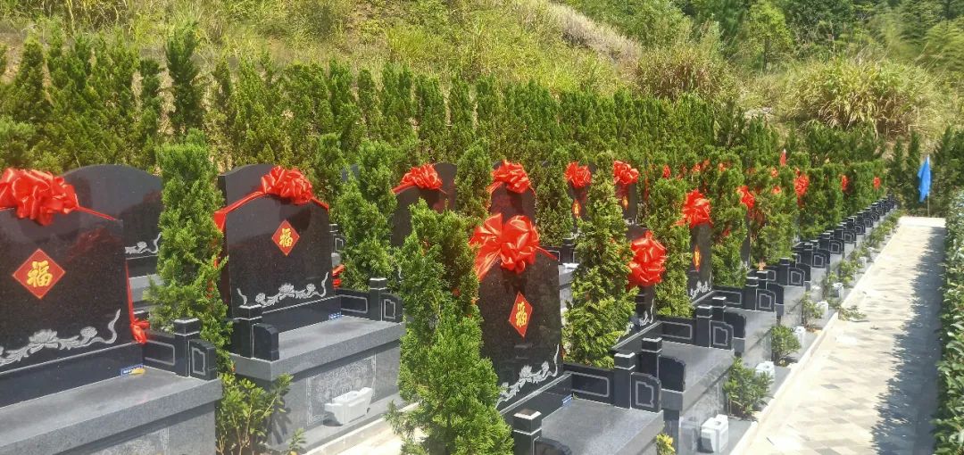 ��ҳ - ���ɱ����ǹ��ʹٷ���վ