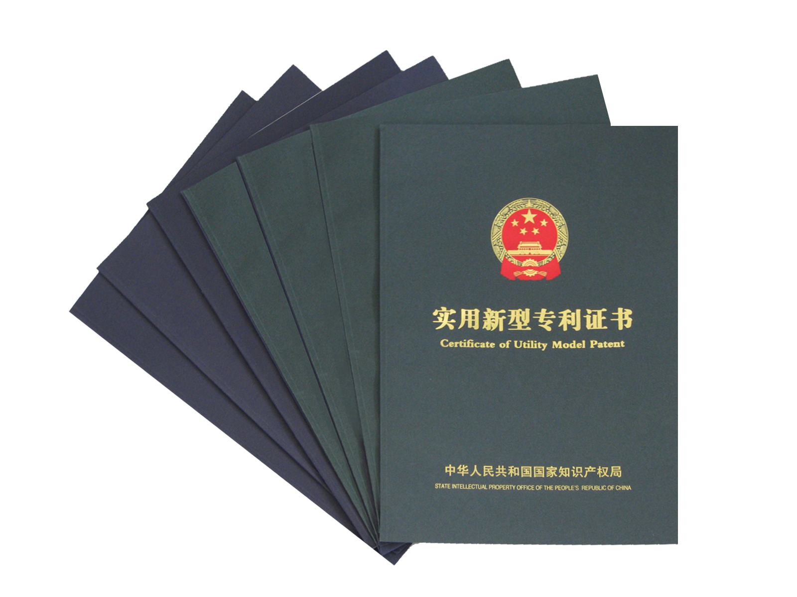 <b>���ɱ������ٴ�ϲ��ʵ������ר�����������ר��</b>