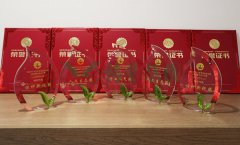 �����ɱ����Ǳ����㽭ʡ�ڵ���̬����������½�