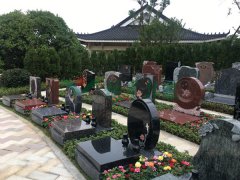 ����Ĺ����չʾ�����Ĺ�����ͨ������ĸ���