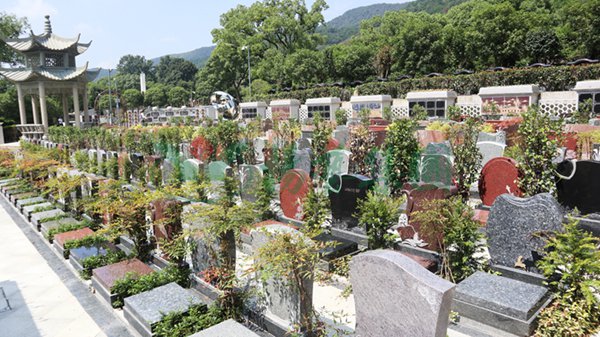 ��ҳ - ���ɱ����ǹ��ʹٷ���վ