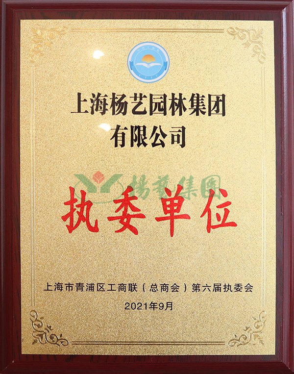 ��ҳ - ���ɱ����ǹ��ʹٷ���վ