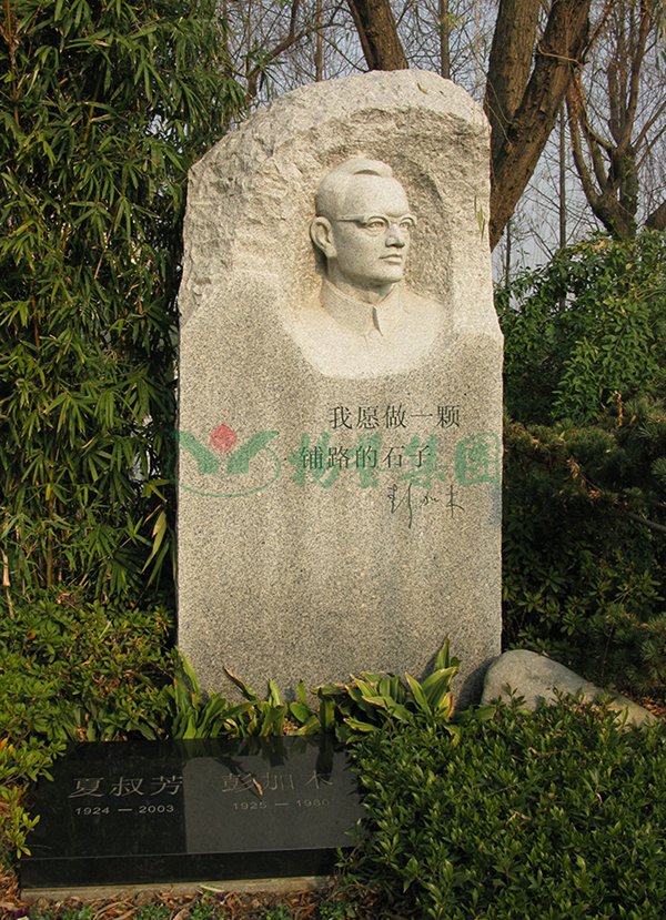 ��ҳ - ���ɱ����ǹ��ʹٷ���վ