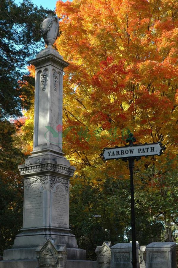 1-21122215094MY 首页 - 菲律宾亚星国际官方网站