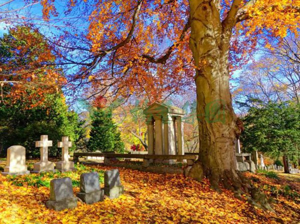 1-211222150H0355 首页 - 菲律宾亚星国际官方网站